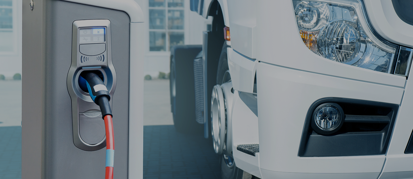 Aerial Road Trees (1) (1)