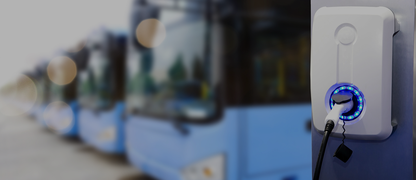 Aerial Road Trees (1) (3)